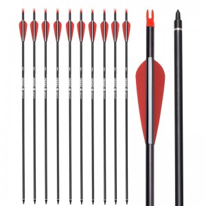Elong Outdoor 115500-08 30inch Roll Fiberglass arrow Τοξοβολία Recurve Bow Στόχος Στόχος Πρακτική
