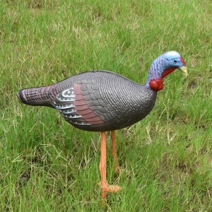 Elong Outdoor 41T3D2 3D κοτόπουλο στόχος τοξοβολία φλάντζα χρησιμοποιώντας ζωντανό στόχο